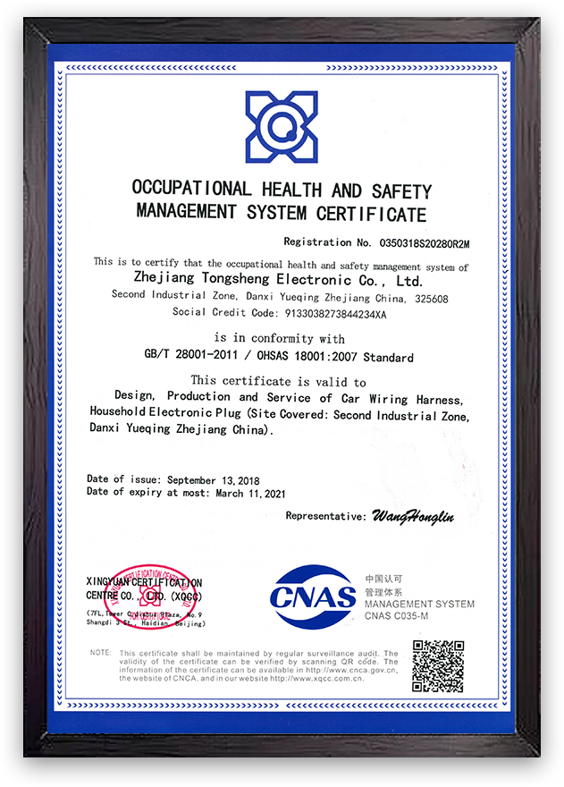 Certificação do Sistema de Gestão de Saúde e Segurança Ocupacional OHSAS18001 2018-2021